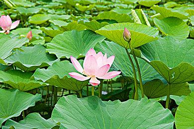 《狙击手：幽灵战士契约2》免费DLC“屠夫的盛宴”上线